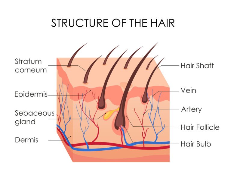 Hair structure